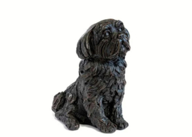 asbeeld/urn Shih Tzu | 26,5 cm