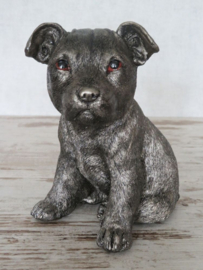 asbeeldje/urn Staffordshire puppy