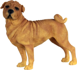 beeldje Sharpei bruin staand