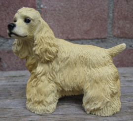 beeldje Amerikaanse Cocker spaniel blond