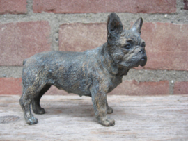 beeldje Franse Bulldog brindle zwart-bruin