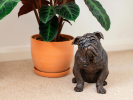 asbeeld/urn Engelse Bulldog | 27 cm