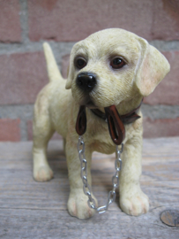 beeldje Labrador blond met riem staand