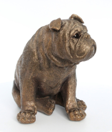 beeldje Engelse Bulldog bronskleur