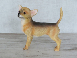 beeldje Chihuahua korthaar staand
