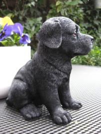 beeldje/asbeeldje/urn Labrador puppy zwart