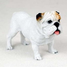beeldje Engelse Bulldog wit