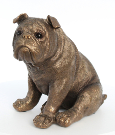 beeldje Engelse Bulldog bronskleur