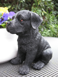 beeldje/asbeeldje/urn Labrador puppy zwart