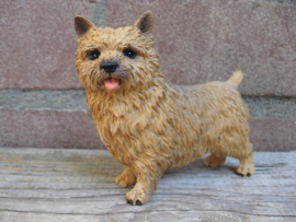 beeldje Norwich Terrier