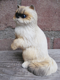 beeldje Ragdoll