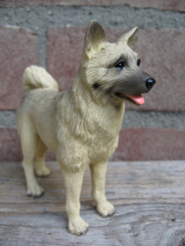 beeldje Akita fawn