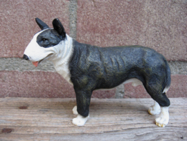 beeldje Engelse Bull Terrier brindle-wit