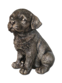 asbeeldje/urn Labrador puppy