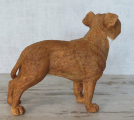 beeldje Staffordshire Bull Terriër bruin