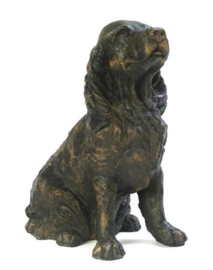 asbeeld/urn Engelse Cocker spaniel | 29 cm