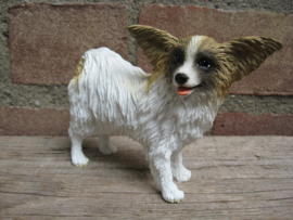 beeldje Papillon/Vlinderhond wit-bruin