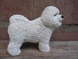 beeldje Bichon Frise staand