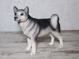 beeldje Husky staand