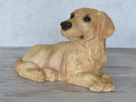 vintage beeld Labrador blond | 22,5 cm