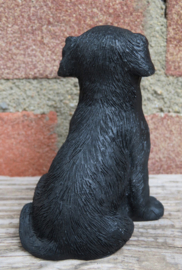 beeldje Labrador puppy zwart