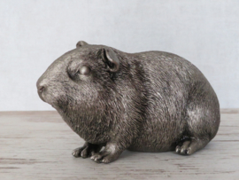 asbeeldje/urn Cavia gladhaar