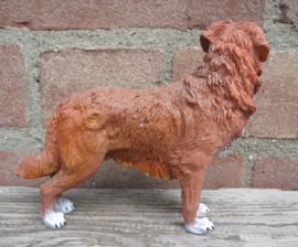 beeldje Nova Scotia Duck Tolling Retriever