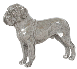 miniatuur Bordeaux Dog