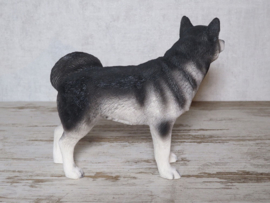 beeldje Husky staand