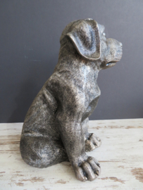 asbeeld/urn Rottweiler | 24 cm