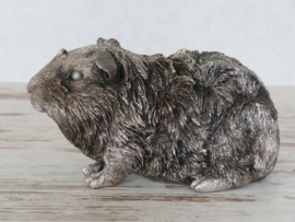 asbeeldje/urn Cavia borstelhaar