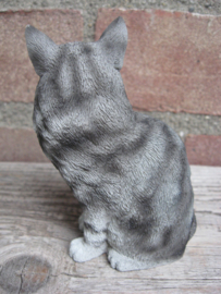 beeldje Maine Coon silver tabby