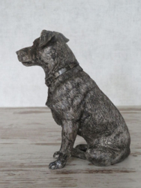 urn Jack Russell zittend (gedeelte as)
