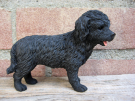 beeldje Cockapoo zwart