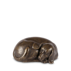 asbeeld/urn Liggende hond brons