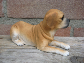 beeldje Puggle