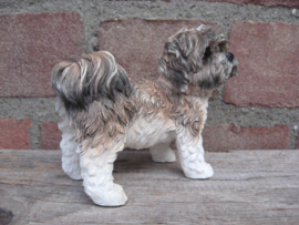 beeldje Shih Tzu bruin-wit staand