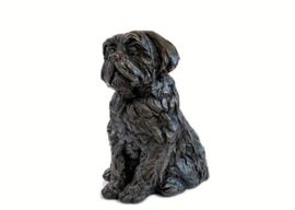 asbeeld/urn Shih Tzu | 26,5 cm