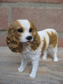 beeldje Cavalier King Charles spaniel blenheim