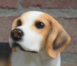 beeldje Beagle staand