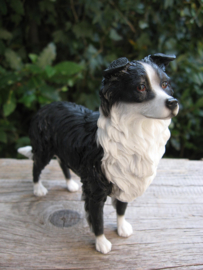 beeldje Border Collie staand