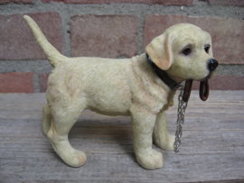 beeldje Labrador blond met riem staand
