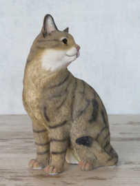 kattenbeeldje bruin tabby zittend