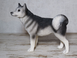 beeldje Husky staand