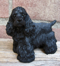 beeldje Amerikaanse Cocker spaniel zwart