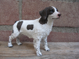 beeldje Bretonse/Brittany spaniel wit-lever