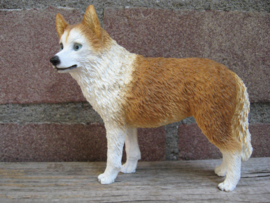 beeldje Husky rood-wit staand