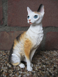 beeldje Cornish Rex lapjespoes