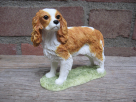 beeldje Cavalier King Charles spaniel blenheim