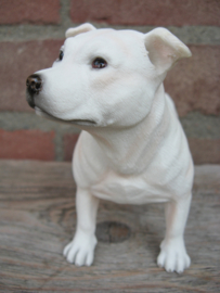 beeldje Staffordshire Bull Terriër wit